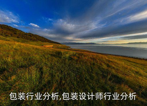 包装行业分析,包装设计师行业分析