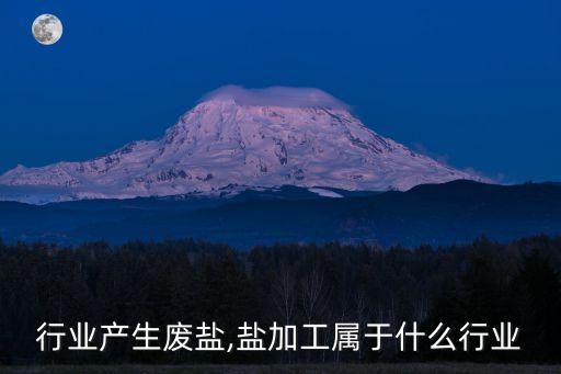 行业产生废盐,盐加工属于什么行业