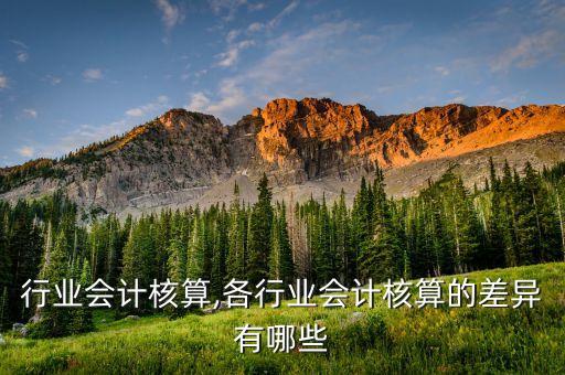行业会计核算,各行业会计核算的差异有哪些