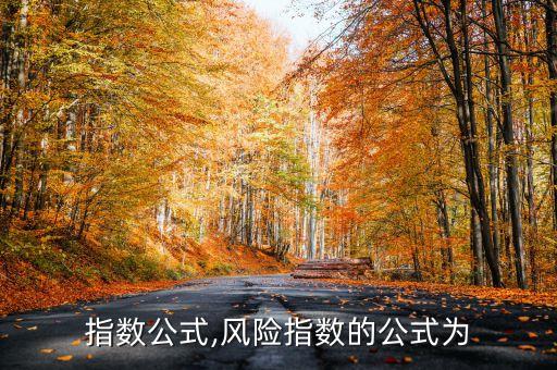 指数公式,风险指数的公式为