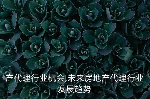 房地产代理行业机会,未来房地产代理行业发展趋势