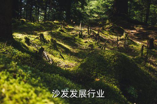 沙发发展行业