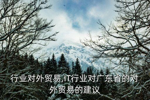 行业对外贸易,IT行业对广东省的对外贸易的建议