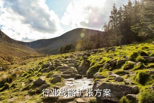 地炼行业战略扩张方案