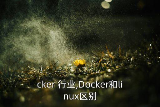 cker 行业,Docker和linux区别
