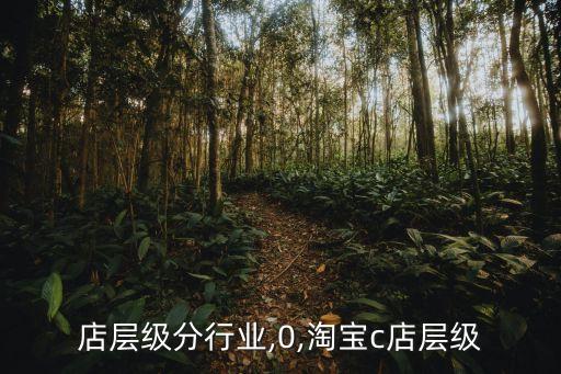 淘宝店层级分行业,0,淘宝c店层级