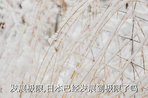发展极限,日本已经发展到极限了吗