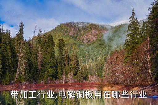 铜板带加工行业,电解铜板用在哪些行业