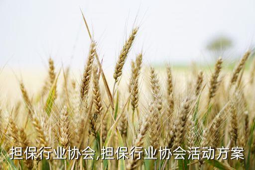中国担保行业协会,担保行业协会活动方案
