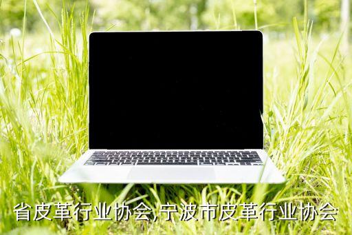 江苏省皮革行业协会,宁波市皮革行业协会