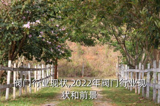 国外阀门行业现状,2022年阀门行业现状和前景