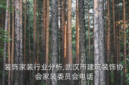 装饰家装行业分析,武汉市建筑装饰协会家装委员会电话