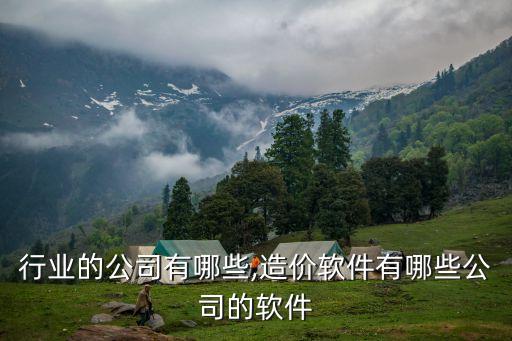 造价行业的公司有哪些,造价软件有哪些公司的软件