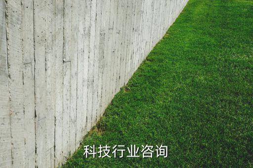 科技行业咨询