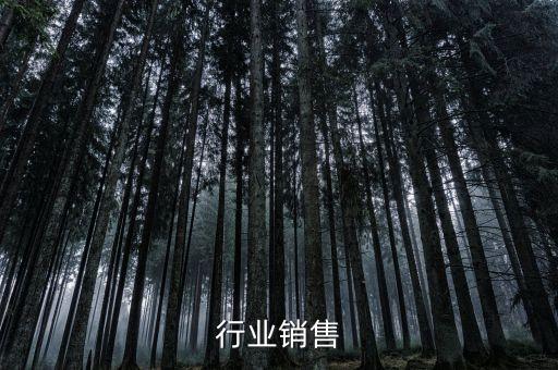 食品行业销售