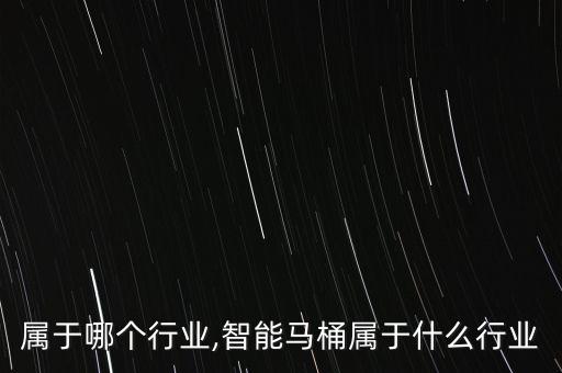 马桶属于哪个行业,智能马桶属于什么行业