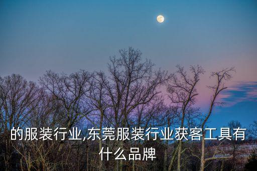 东莞的服装行业,东莞服装行业获客工具有什么品牌