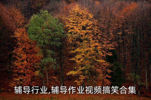 辅导行业,辅导作业视频搞笑合集