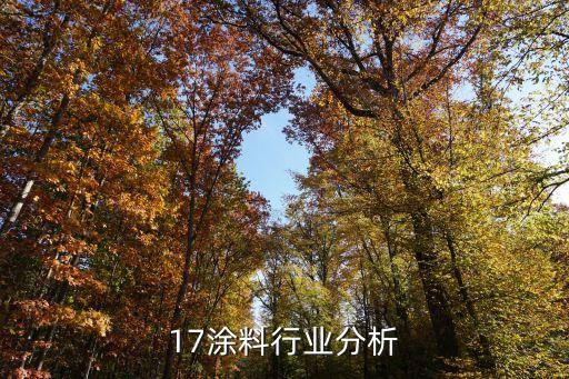 17涂料行业分析