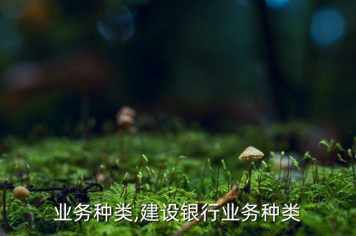 业务种类,建设银行业务种类