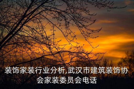 装饰家装行业分析,武汉市建筑装饰协会家装委员会电话
