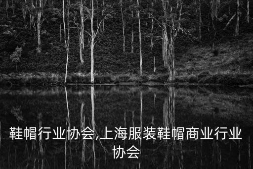 服装鞋帽行业协会,上海服装鞋帽商业行业协会