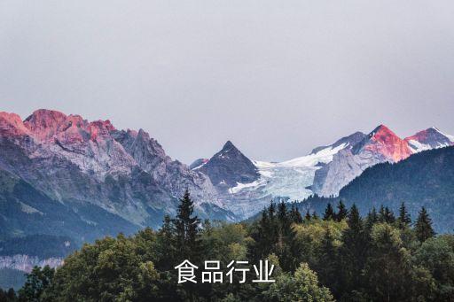 现在食品行业