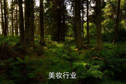 国货美妆行业