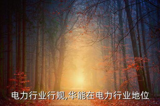 电力行业行规,华能在电力行业地位
