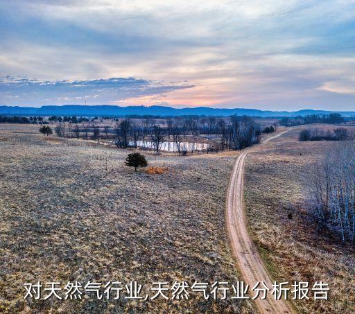 国家对天然气行业,天然气行业分析报告