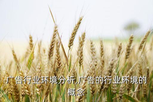 广告行业环境分析,广告的行业环境的概念