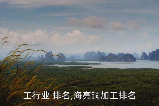 工行业 排名,海亮铜加工排名