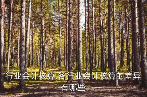 矿石行业会计核算,各行业会计核算的差异有哪些
