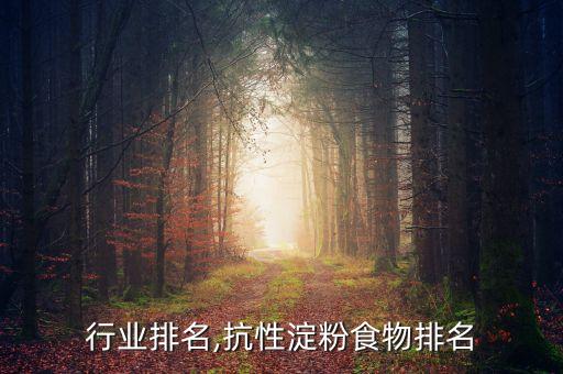 淀粉行业排名,抗性淀粉食物排名