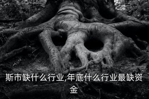 佳木斯市缺什么行业,年底什么行业最缺资金