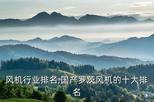 风机行业排名,国产罗茨风机的十大排名
