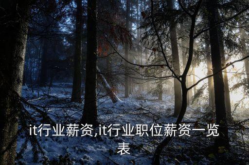 it行业薪资,it行业职位薪资一览表