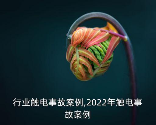 行业触电事故案例,2022年触电事故案例