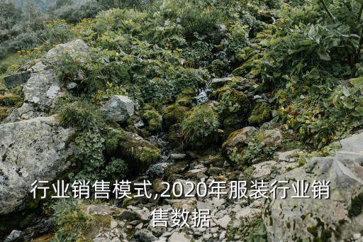 行业销售模式,2020年服装行业销售数据