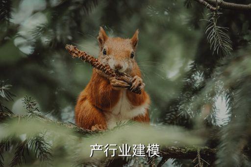 产行业建模