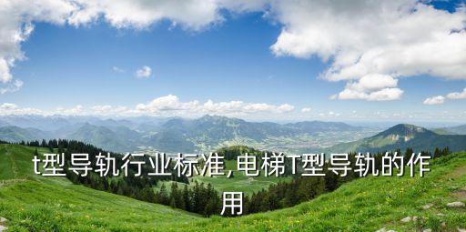 t型导轨行业标准,电梯T型导轨的作用