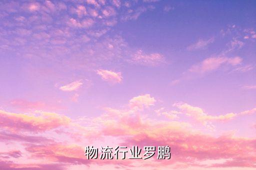物流行业罗鹏