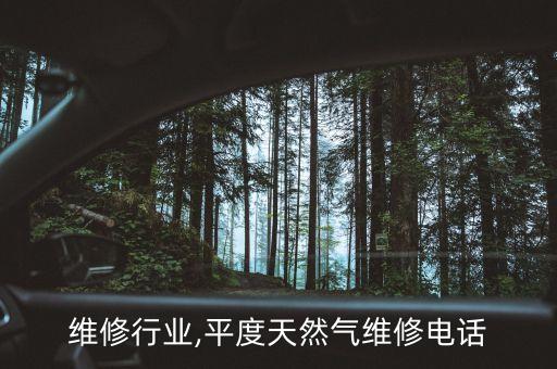 平度维修行业,平度天然气维修电话