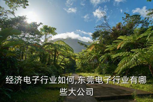 经济电子行业如何,东莞电子行业有哪些大公司