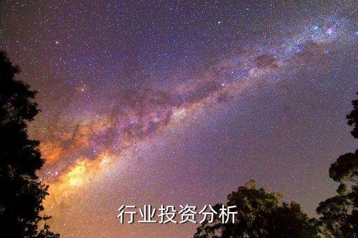 行业投资分析