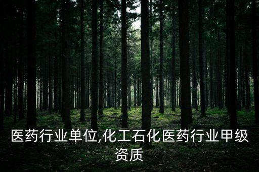 医药行业单位,化工石化医药行业甲级资质