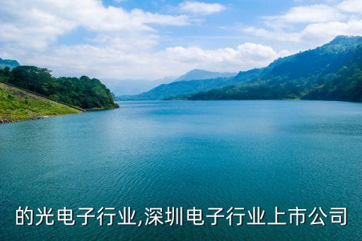深圳的光电子行业,深圳电子行业上市公司