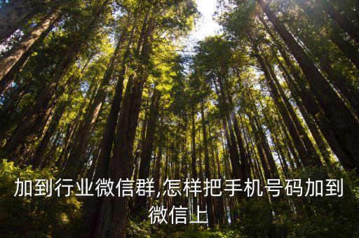 怎样加到行业微信群,怎样把手机号码加到微信上