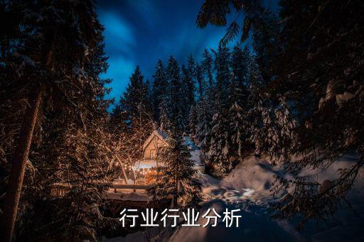 石化行业行业分析