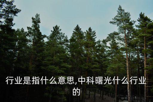 曙光行业是指什么意思,中科曙光什么行业的